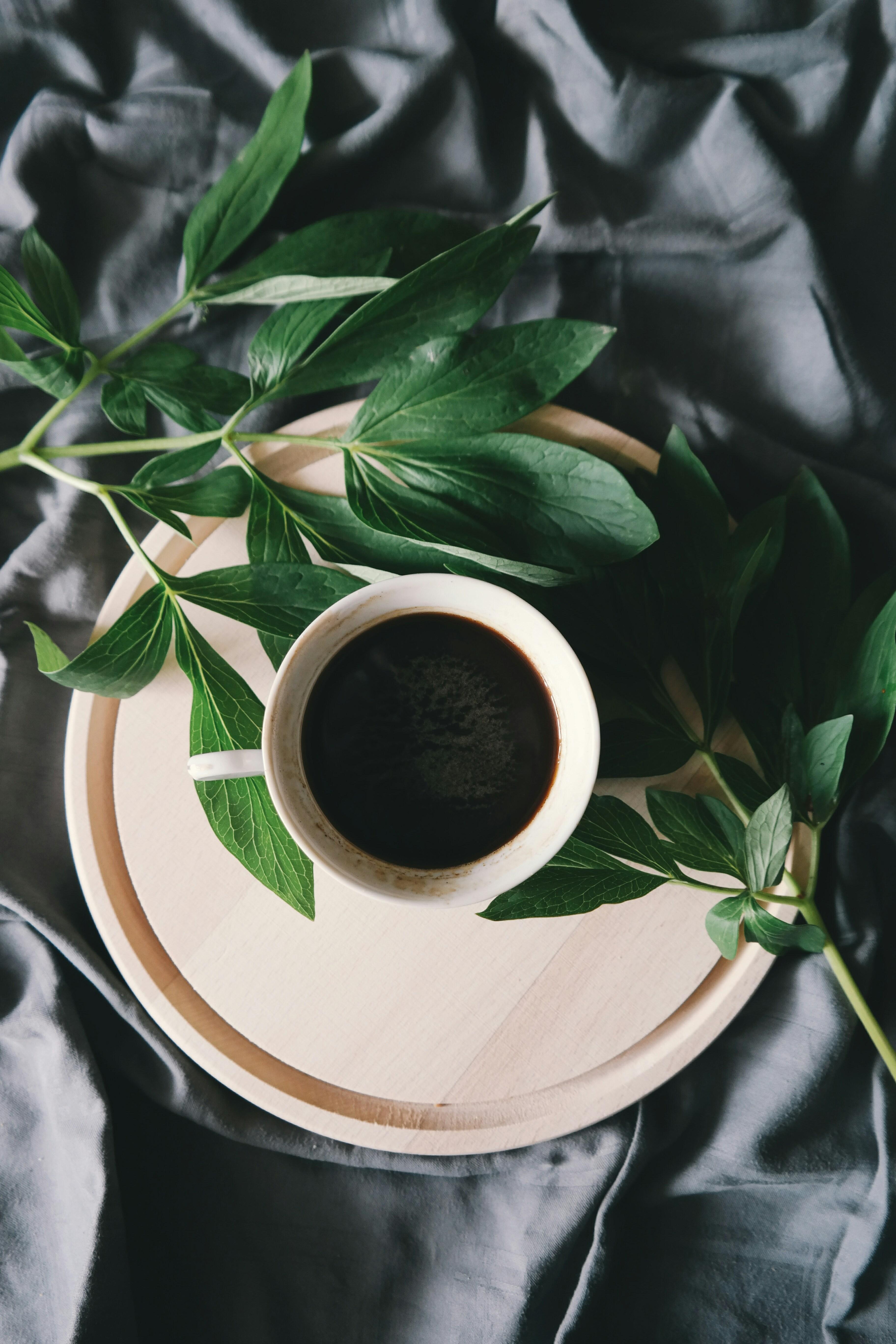 Cold Brew